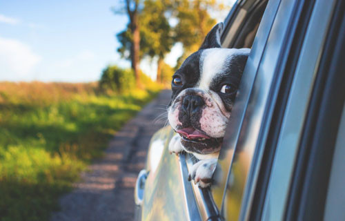 Make sure your car is safe for you and the family to drive this bank holiday. Get your motor checked over at Morley Auto Garage. #longweekend #roadtrip #redhill #reigate #cargarage #bankholiday